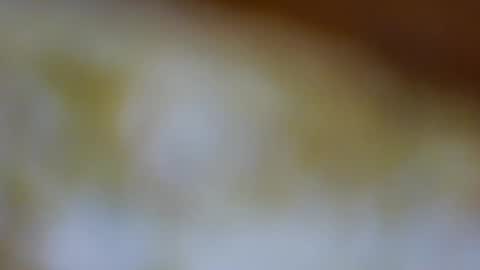 germanandy71 online show from 11-23-25, 08:58