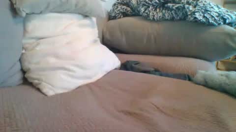 Snapshot of getsome11 chatting on 03-08-26, 12:53 Getsome11 online show from 03-08-26, 12:53