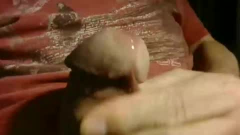 Snapshot of gettingstiff chatting on 01-12-26, 12:10 gettingstiff online show from 01-12-26, 12:10