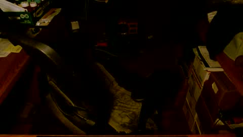 Snapshot of gfhdhr2 chatting on 03-04-25, 09:18 gfhdhr2 online show from 03-04-25, 09:18