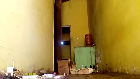 Snapshot of ghabriel7777788 chatting on 11-14-25, 06:50 Gaby online show from 11-14-25, 06:50