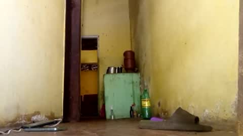 Snapshot of ghabriel7777788 chatting on 01-15-26, 06:00 Gaby online show from 01-15-26, 06:00