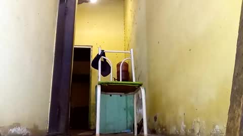 Snapshot of ghabriel7777788 chatting on 02-23-26, 02:58 Gaby online show from 02-23-26, 02:58