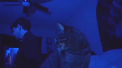 Snapshot of ghostcondor11 chatting on 11-13-25, 08:57 SrirachaSwitchblade online show from 11-13-25, 08:57