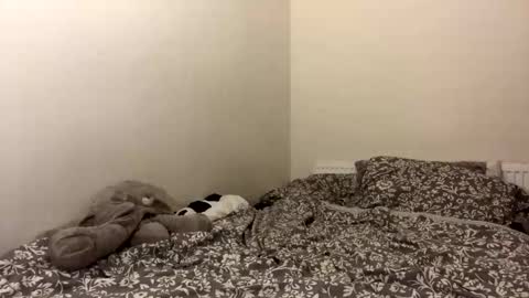 ghostpetal online show from 10-12-25, 01:37