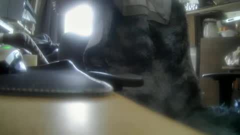 Snapshot of giovanne1 chatting on 12-05-24, 12:11 giovanne1 online show from 12-05-24, 12:11