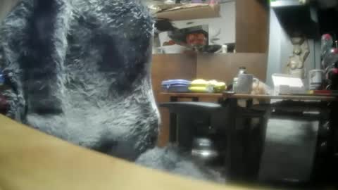 Snapshot of giovanne1 chatting on 12-08-24, 06:22 giovanne1 online show from 12-08-24, 06:22