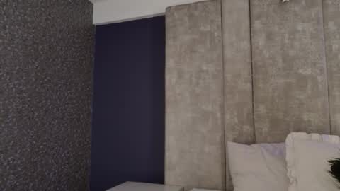     online show from 11-04-25, 10:36