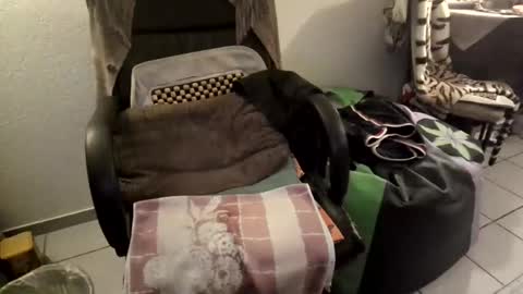 Snapshot of gjslave chatting on 09-11-25, 07:47 gjslave online show from 09-11-25, 07:47