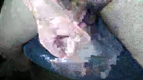 Snapshot of gman41000 chatting on 12-22-24, 04:06 Gman online show from 12-22-24, 04:06