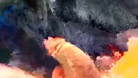 Snapshot of gman41000 chatting on 12-30-24, 03:25 Gman online show from 12-30-24, 03:25