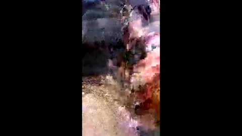 Snapshot of gmans26 chatting on 02-22-26, 07:45 dan online show from 02-22-26, 07:45