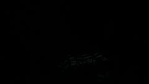 Snapshot of goatchocolate chatting on 12-22-24, 05:45 goatchocolate online show from 12-22-24, 05:45