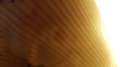 M A R T I N A  online show from 01-12-26, 07:19