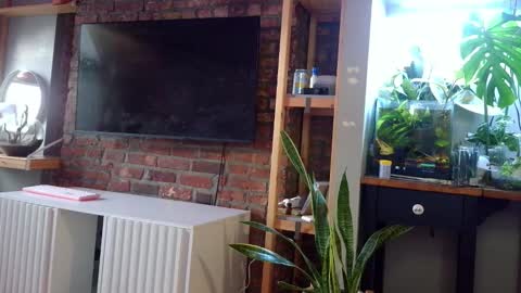 Goodess Jojo online show from 02-07-26, 09:18