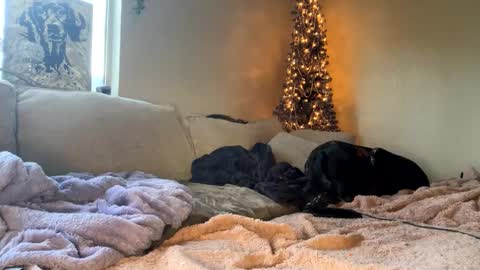 GoddessMayvn online show from 01-10-25, 03:48