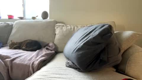 GoddessMayvn online show from 02-11-25, 04:46