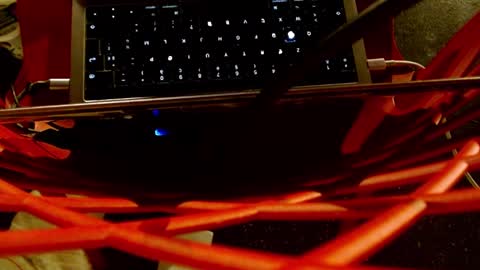 Judy Joy online show from 12-11-24, 08:28