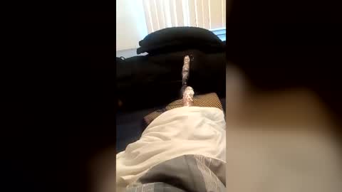 KCKK HOTTEST IN THE BAY online show from 07-19-26, 12:58