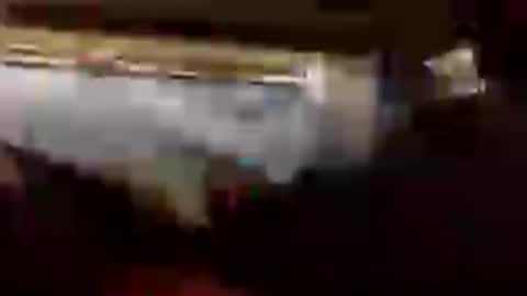gogome794 online show from 06-28-26, 12:27