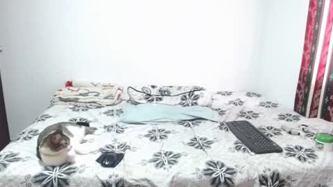 Snapshot of gold_shooter chatting on 03-12-26, 02:56 gold_shooter online show from 03-12-26, 02:56