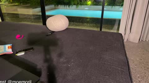 Aline meow   online show from 02-22-26, 02:04