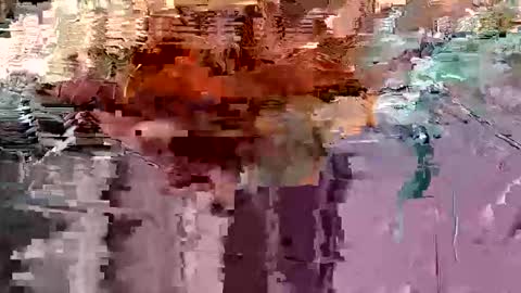 Snapshot of gonadalache chatting on 11-17-25, 03:56 gonadalache online show from 11-17-25, 03:56