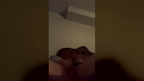 WetWild online show from 04-15-26, 10:32