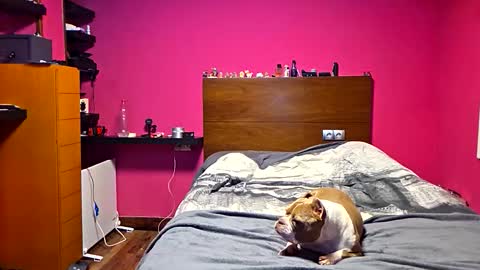 Snapshot of gonzalobilbaogon chatting on 03-23-26, 12:36 gonzalo online show from 03-23-26, 12:36