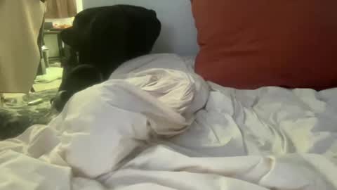 goodparker online show from 10-08-25, 02:31