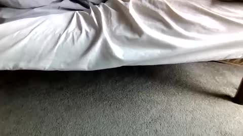 watch me stroke online show from 04-28-26, 04:34