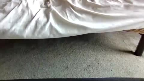 watch me stroke online show from 04-29-26, 07:09