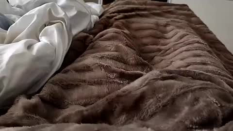 Hazme gozar online show from 02-14-25, 08:42