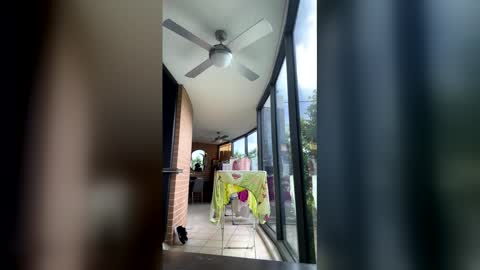 Snapshot of gracemeow chatting on 02-05-26, 06:40 gracemeow online show from 02-05-26, 06:40