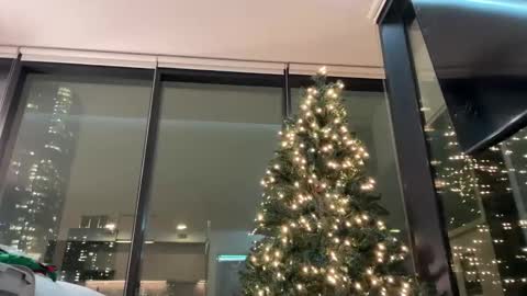 Gracie Mae online show from 12-03-25, 11:36