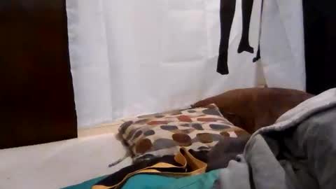 Snapshot of gratiotony chatting on 12-18-25, 03:23 Get US to 1000 you wont be disapointed online show from 12-18-25, 03:23