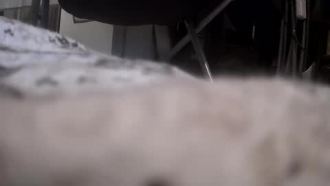 Snapshot of gratiotony chatting on 01-17-26, 12:15 Get US to 1000 you wont be disapointed online show from 01-17-26, 12:15