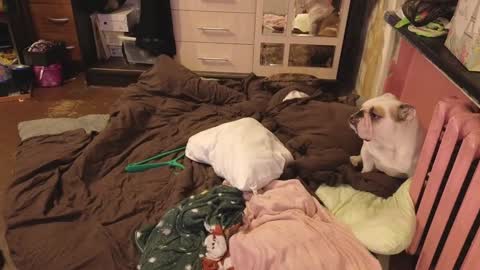 Snapshot of graylovescookies chatting on 12-29-24, 03:03 graylovescookies online show from 12-29-24, 03:03