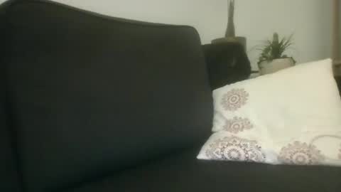 Snapshot of greatdick25700 chatting on 09-08-25, 08:19 greatdick25700 online show from 09-08-25, 08:19