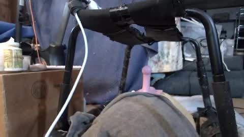 Snapshot of gregbball1 chatting on 08-09-26, 11:53 electrogee1 online show from 08-09-26, 11:53