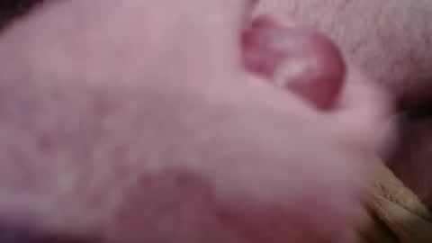 Snapshot of gregburns chatting on 01-18-25, 04:31 Greg online show from 01-18-25, 04:31