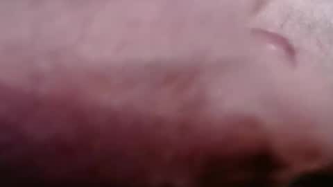 Snapshot of gregburns chatting on 02-21-26, 08:43 Greg online show from 02-21-26, 08:43