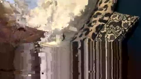 Snapshot of greymen2020 chatting on 02-16-26, 06:04 greymen2020 online show from 02-16-26, 06:04