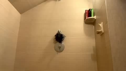 Snapshot of greyvan96 chatting on 12-31-24, 01:30 Perfectlyaveragesavage online show from 12-31-24, 01:30