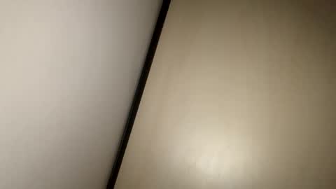 Snapshot of greyvan96 chatting on 02-17-25, 10:18 Perfectlyaveragesavage online show from 02-17-25, 10:18