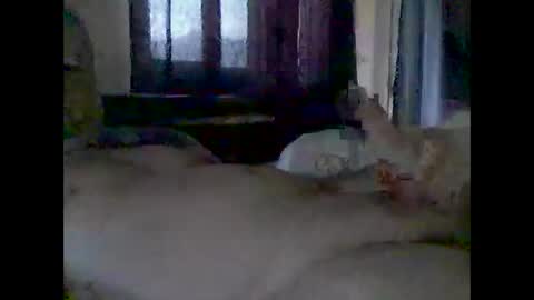 Snapshot of grittslappa chatting on 11-14-25, 12:42 grittslappa online show from 11-14-25, 12:42