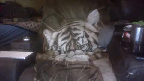 grtlakesman online show from 06-08-26, 01:28