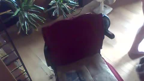 Guido online show from 07-26-26, 10:55