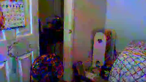 Snapshot of gtnolder60 chatting on 01-06-25, 11:29 Gary online show from 01-06-25, 11:29