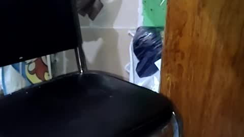 guillermo723 online show from 05-02-26, 03:44